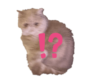 829252802