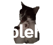 829253260