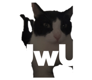 829253261
