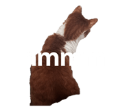 829253263