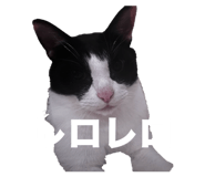 829253264