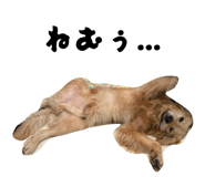 829256856