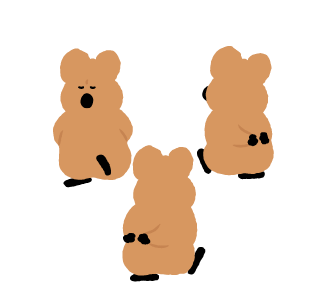 QUOKKA & BOBO หนึ่งวันพันอารมณ์ รูปที่ 4