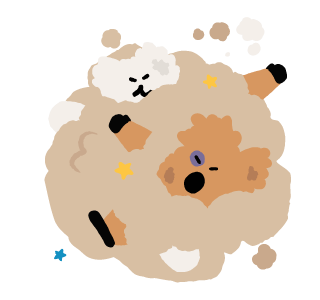 ลายที่ 45