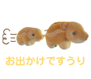 829258443