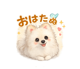829281442