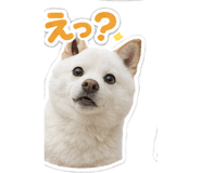 829283645