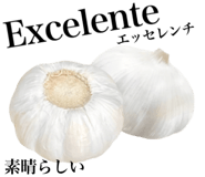 829303697