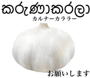 829304189