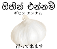 829304194