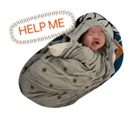 829317785