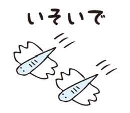 8293182