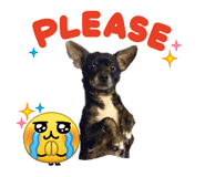 829324738