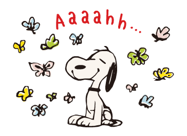 ลายที่ 23