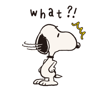 ลายที่ 29