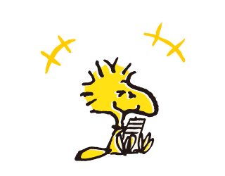 ลายที่ 43