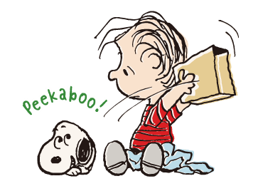 ลายที่ 47