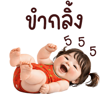 ลายที่ 13