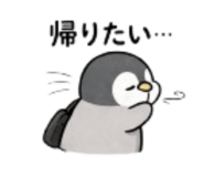 829337056