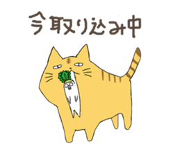 8294186