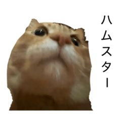 829438870