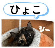 829476546