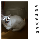 829476551