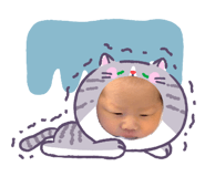 829490961