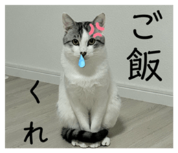 829493503