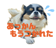 829493849
