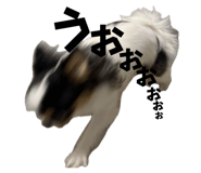 829493853