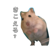 829494765