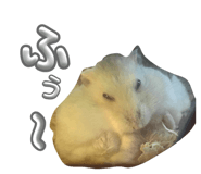 829494767