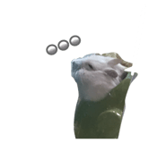 829494768