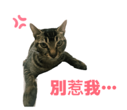 829499007