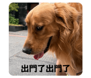 829499014