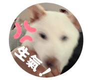829500922