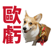 829502500