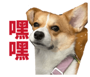 829502507
