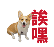 829502508