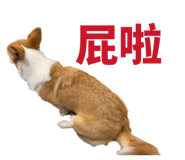 829502510