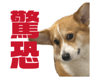 829502511