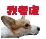 829502520