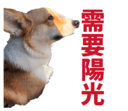 829502530