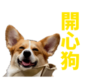 829502534