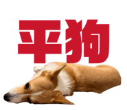 829502536