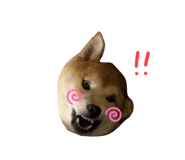 829504737