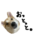 829504751