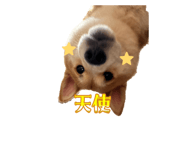 829504755