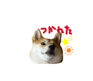 829504882
